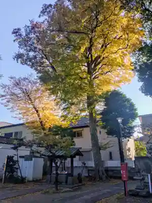 田端神社(東京都)
