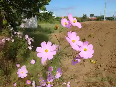 川崎氷川神社(埼玉県)