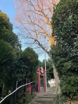 大宮浅間神社(埼玉県)