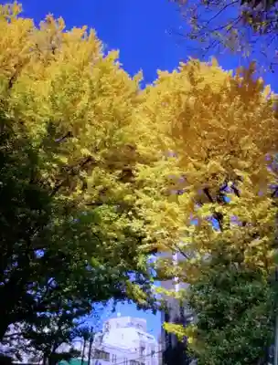 鳩森八幡神社(東京都)
