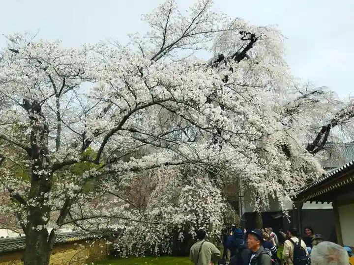 宝聚院(京都府)