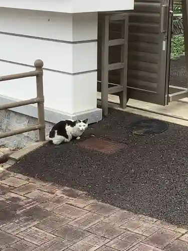 立蔵寺(岐阜県)