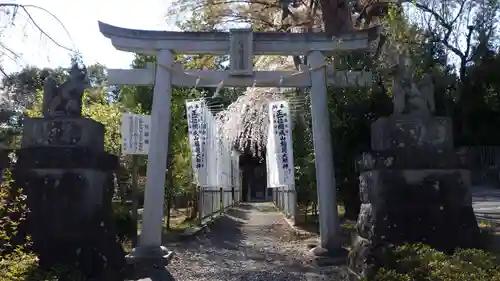 開成山大神宮の鳥居