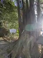 萩日吉神社(埼玉県)