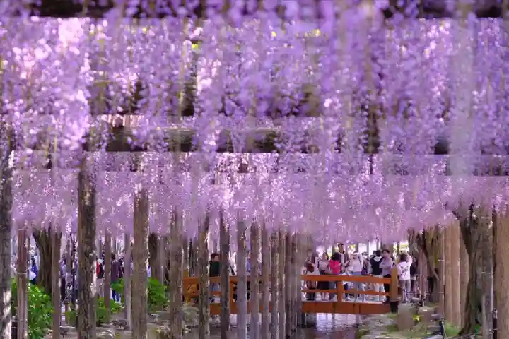 津島神社(愛知県)