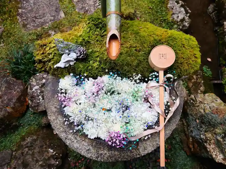 柳谷観音 楊谷寺(京都府)