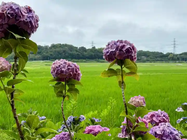 二本松寺(茨城県)