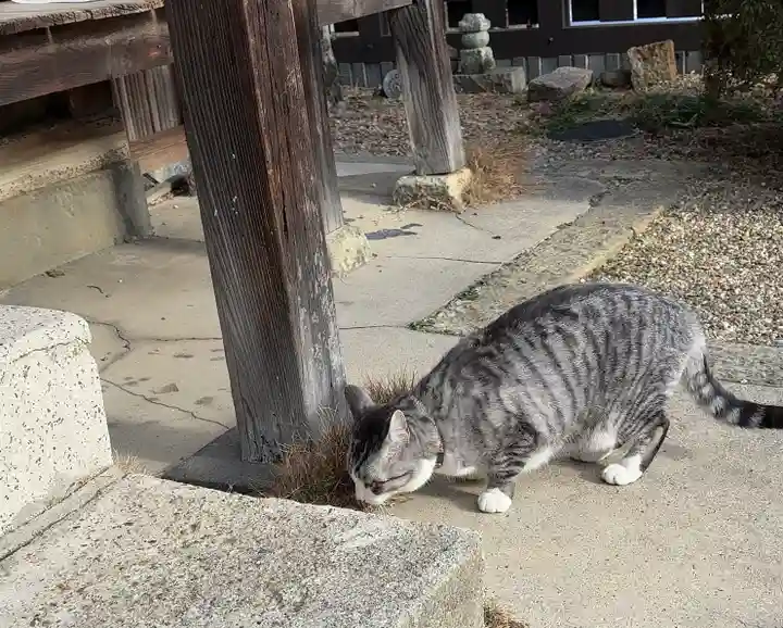 正覚院(京都府)