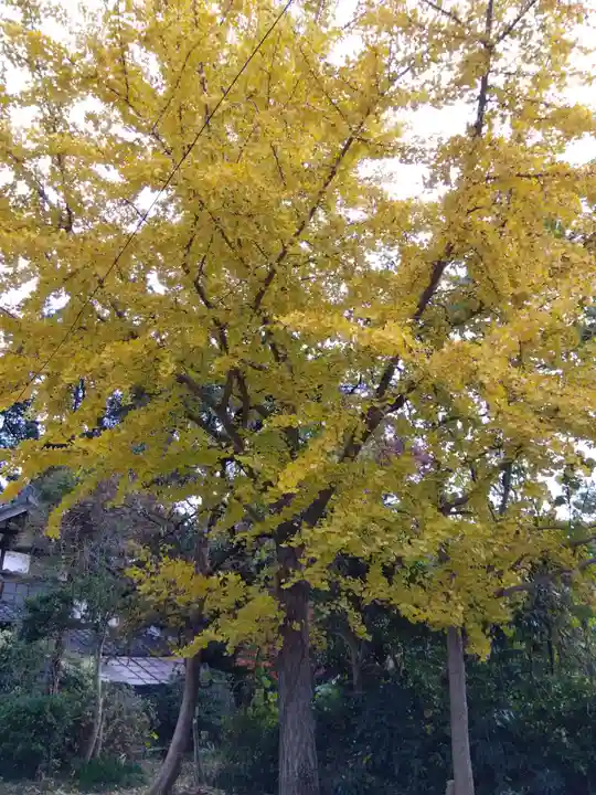 常昌寺(滋賀県)