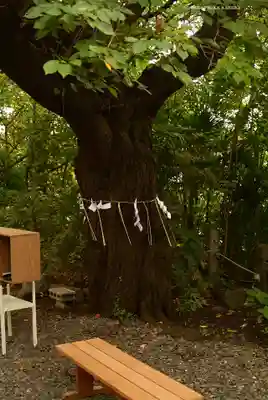 牛天神北野神社(東京都)