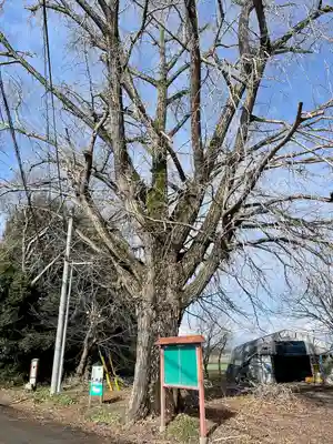 古泉馬頭観世音(栃木県)