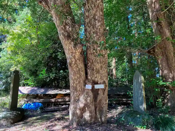磯部稲村神社の自然