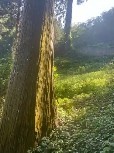 龍口神社(宮城県)