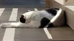 最勝寺の動物