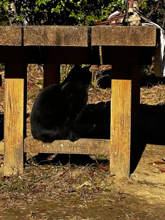 玉野御嶽神社の{uncategorized: "未分類", other: "その他", undefined: "問題あり", building: "その他建物", grave: "お墓", sacred_gate: "鳥居", guardian: "狛犬", statue: "像", buddha: "仏像", history: "歴史", nature: "自然", garden: "庭園", animal: "動物", pagoda: "塔", temizu: "手水舎", mountain_gate: "山門・神門", sanctuary: "本殿・本堂", subordinate: "末社・摂社", art: "芸術", scenery: "景色", jizo: "地蔵", ema: "絵馬", goshuin: "御朱印", omikuji: "おみくじ", items: "授与品その他", amulet: "お守り", goshuincho: "御朱印帳", eats: "食事", festival: "お祭り", votive_dance: "神楽", shichigosan: "七五三参", wedding: "結婚式", experience: "体験その他", initially: "初詣", around: "周辺", anti_infection: "感染症対策"}