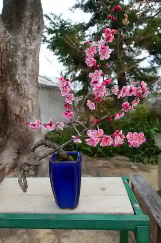 菅原天満宮（菅原神社）の自然