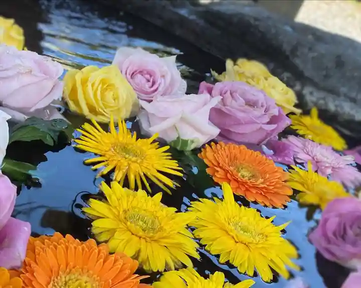 津島神社の手水舎