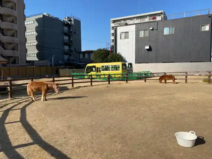 五方山熊野神社の{uncategorized: "未分類", other: "その他", undefined: "問題あり", building: "その他建物", grave: "お墓", sacred_gate: "鳥居", guardian: "狛犬", statue: "像", buddha: "仏像", history: "歴史", nature: "自然", garden: "庭園", animal: "動物", pagoda: "塔", temizu: "手水舎", mountain_gate: "山門・神門", sanctuary: "本殿・本堂", subordinate: "末社・摂社", art: "芸術", scenery: "景色", jizo: "地蔵", ema: "絵馬", goshuin: "御朱印", omikuji: "おみくじ", items: "授与品その他", amulet: "お守り", goshuincho: "御朱印帳", eats: "食事", festival: "お祭り", votive_dance: "神楽", shichigosan: "七五三参", wedding: "結婚式", experience: "体験その他", initially: "初詣", around: "周辺", anti_infection: "感染症対策"}