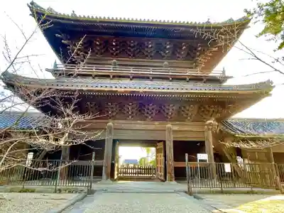 大樹寺(松安院大樹寺)の山門・神門