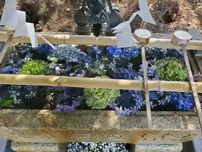 星宮神社(栃木県)