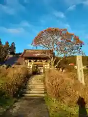 万蔵寺の山門