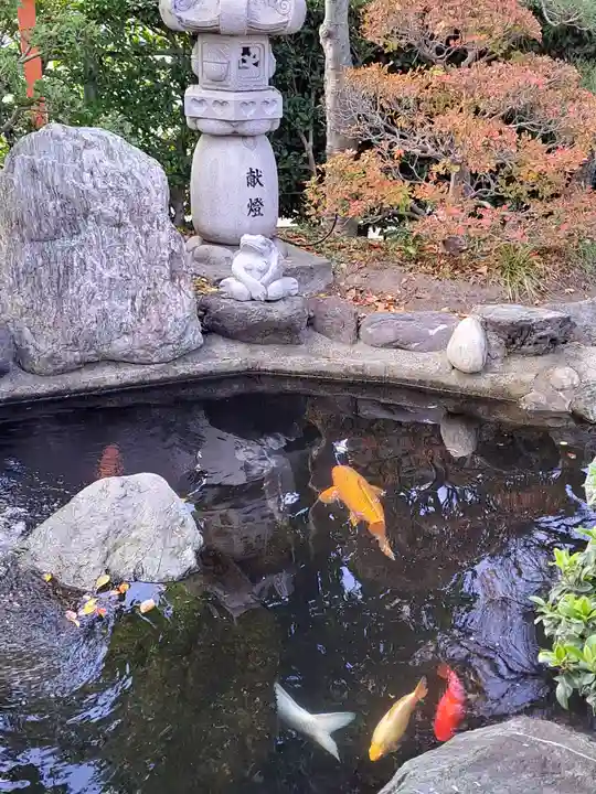 尾張猿田彦神社(愛知県)
