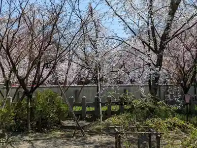 平野神社(京都府)