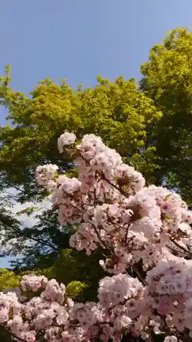 大報恩寺（千本釈迦堂）の自然