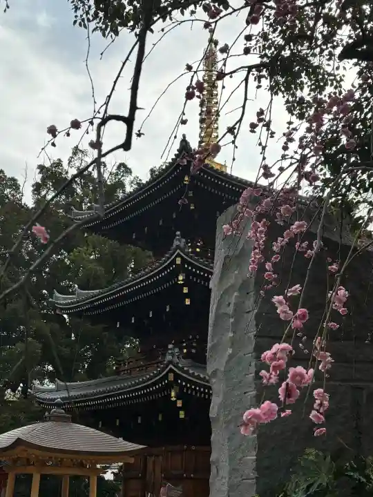 法楽寺の{uncategorized: "未分類", other: "その他", undefined: "問題あり", building: "その他建物", grave: "お墓", sacred_gate: "鳥居", guardian: "狛犬", statue: "像", buddha: "仏像", history: "歴史", nature: "自然", garden: "庭園", animal: "動物", pagoda: "塔", temizu: "手水舎", mountain_gate: "山門・神門", sanctuary: "本殿・本堂", subordinate: "末社・摂社", art: "芸術", scenery: "景色", jizo: "地蔵", ema: "絵馬", goshuin: "御朱印", omikuji: "おみくじ", items: "授与品その他", amulet: "お守り", goshuincho: "御朱印帳", eats: "食事", festival: "お祭り", votive_dance: "神楽", shichigosan: "七五三参", wedding: "結婚式", experience: "体験その他", initially: "初詣", around: "周辺", anti_infection: "感染症対策"}