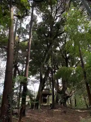 小鷹神社(千葉県)