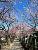 密藏院(埼玉県)