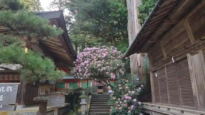 都祁水分神社の{uncategorized: "未分類", other: "その他", undefined: "問題あり", building: "その他建物", grave: "お墓", sacred_gate: "鳥居", guardian: "狛犬", statue: "像", buddha: "仏像", history: "歴史", nature: "自然", garden: "庭園", animal: "動物", pagoda: "塔", temizu: "手水舎", mountain_gate: "山門・神門", sanctuary: "本殿・本堂", subordinate: "末社・摂社", art: "芸術", scenery: "景色", jizo: "地蔵", ema: "絵馬", goshuin: "御朱印", omikuji: "おみくじ", items: "授与品その他", amulet: "お守り", goshuincho: "御朱印帳", eats: "食事", festival: "お祭り", votive_dance: "神楽", shichigosan: "七五三参", wedding: "結婚式", experience: "体験その他", initially: "初詣", around: "周辺", anti_infection: "感染症対策"}