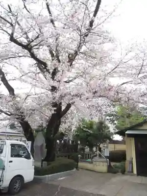 真光寺(千葉県)