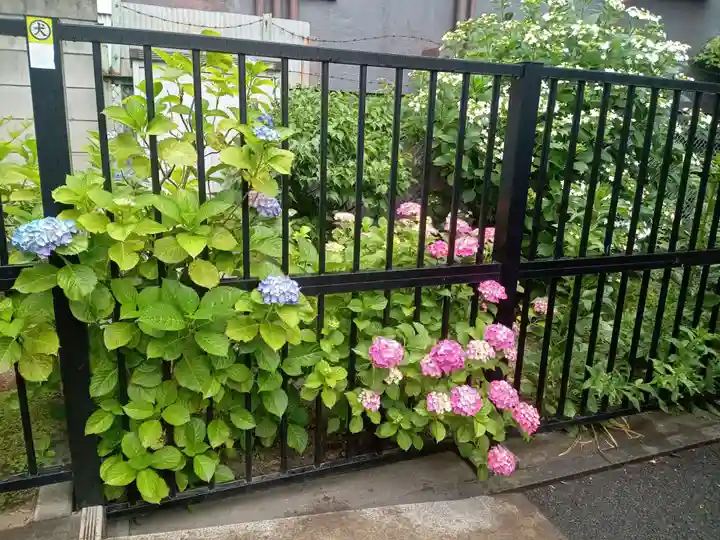 善國寺(東京都)