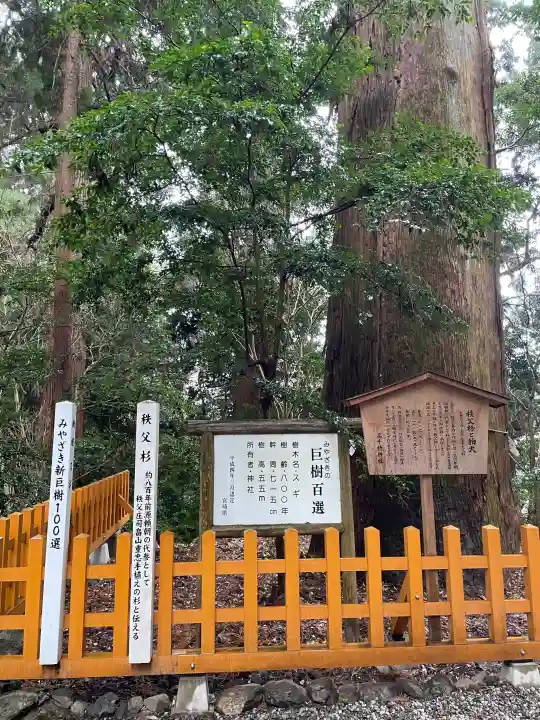 高千穂神社の{uncategorized: "未分類", other: "その他", undefined: "問題あり", building: "その他建物", grave: "お墓", sacred_gate: "鳥居", guardian: "狛犬", statue: "像", buddha: "仏像", history: "歴史", nature: "自然", garden: "庭園", animal: "動物", pagoda: "塔", temizu: "手水舎", mountain_gate: "山門・神門", sanctuary: "本殿・本堂", subordinate: "末社・摂社", art: "芸術", scenery: "景色", jizo: "地蔵", ema: "絵馬", goshuin: "御朱印", omikuji: "おみくじ", items: "授与品その他", amulet: "お守り", goshuincho: "御朱印帳", eats: "食事", festival: "お祭り", votive_dance: "神楽", shichigosan: "七五三参", wedding: "結婚式", experience: "体験その他", initially: "初詣", around: "周辺", anti_infection: "感染症対策"}