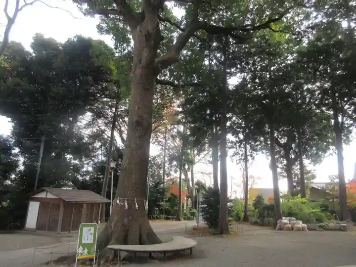 星川杉山神社のその他建物