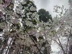 國吉神社の自然