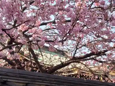 宗仲寺(神奈川県)