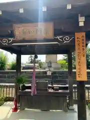 般若寺 ❁﻿コスモス寺❁(奈良県)