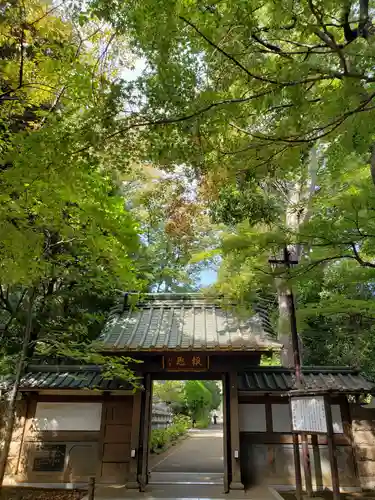 妙法寺の山門