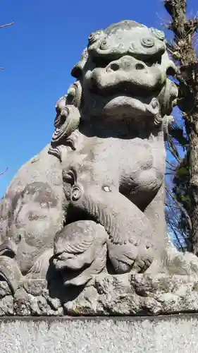 (下館)羽黒神社の狛犬