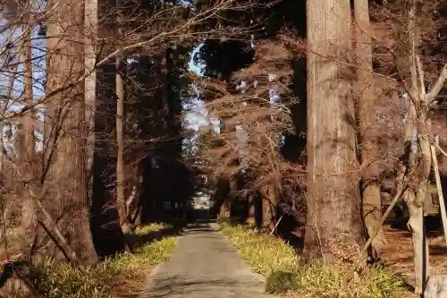 八幡宮の{uncategorized: "未分類", other: "その他", undefined: "問題あり", building: "その他建物", grave: "お墓", sacred_gate: "鳥居", guardian: "狛犬", statue: "像", buddha: "仏像", history: "歴史", nature: "自然", garden: "庭園", animal: "動物", pagoda: "塔", temizu: "手水舎", mountain_gate: "山門・神門", sanctuary: "本殿・本堂", subordinate: "末社・摂社", art: "芸術", scenery: "景色", jizo: "地蔵", ema: "絵馬", goshuin: "御朱印", omikuji: "おみくじ", items: "授与品その他", amulet: "お守り", goshuincho: "御朱印帳", eats: "食事", festival: "お祭り", votive_dance: "神楽", shichigosan: "七五三参", wedding: "結婚式", experience: "体験その他", initially: "初詣", around: "周辺", anti_infection: "感染症対策"}