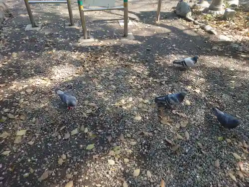 鶴嶺八幡宮(神奈川県)