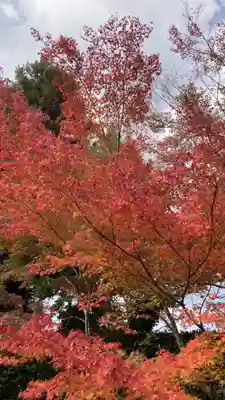 二尊院(京都府)