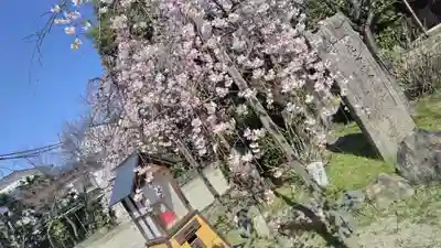 長建寺(京都府)