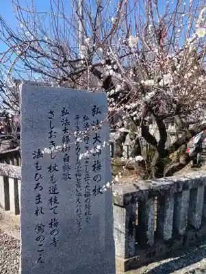 乙津寺 (鏡島弘法)(岐阜県)