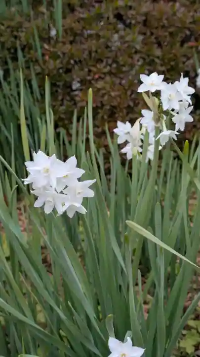 法住寺(大阪府)