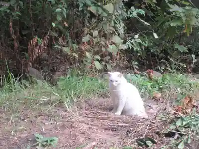久國神社(東京都)