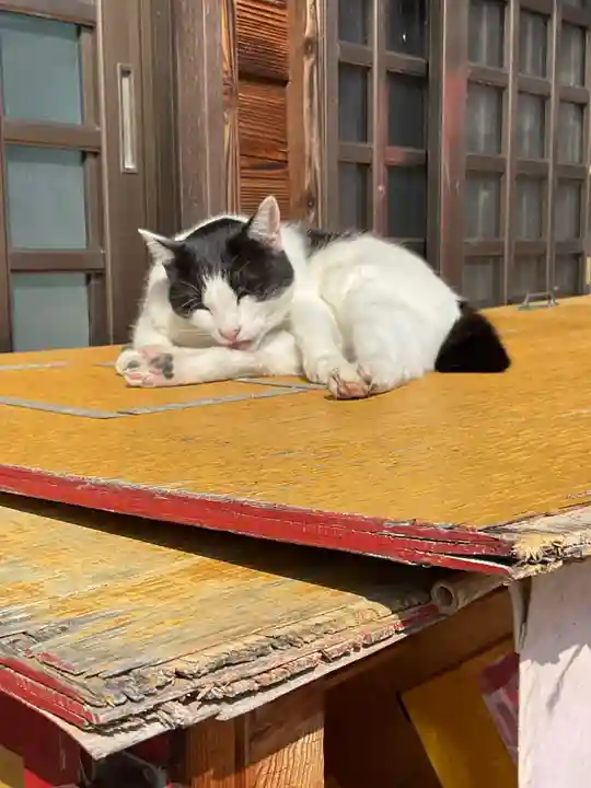 井際山 如意輪寺(愛知県)