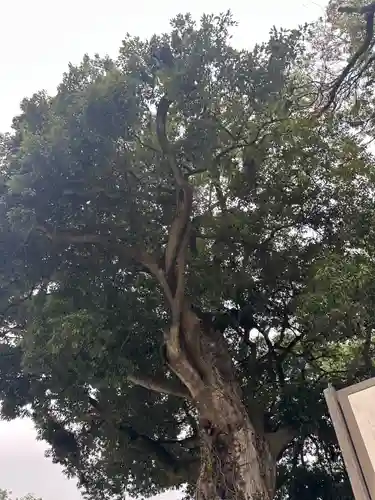 皷楽神社(山梨県)